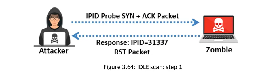 Idle Scan-1752843750504.webp