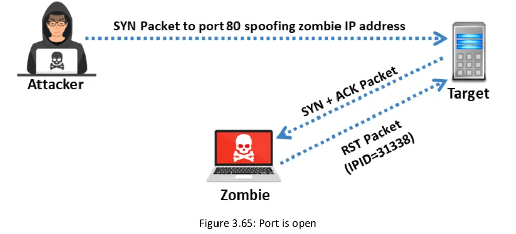 Idle Scan-1752843761945.webp