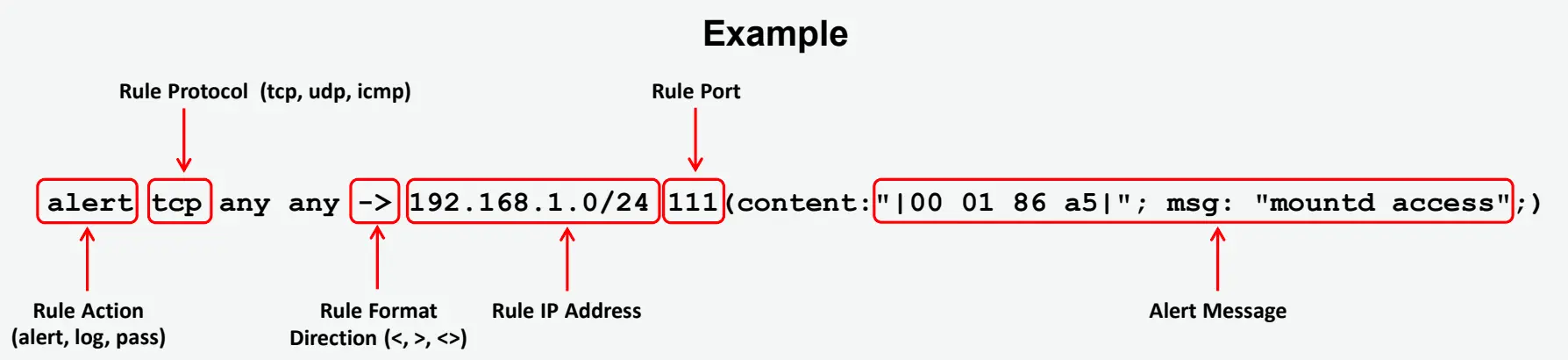 Snort-1755340362622.webp